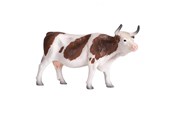 Zabawki - Mojo Farmland Simmental Cow - 387220 - 387220