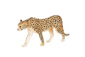 Zabawki - Mojo Wildlife Cheetah Male - 387197 - 387197