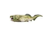 Zabawki - Mojo Prehistory Dunkleosteus - 387374