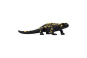 Schleich - Schleich Fire Salamander - 14870