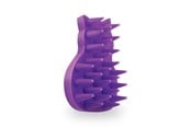 Koty - KONG - Kong Cat ZoomGroom EU - (CZGE) - KONGCZGE