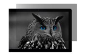 Monitor - Natec OWL display privacy filter - 27" - NFP-2118