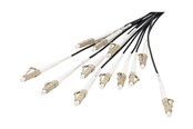 Kabel sieciowy - DIGITUS breakout cable - 100 m - black - Czarny - 100m - DK-2433CU100BK-BBB