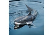 Gadzety - Mikamax RC Shark - 05120