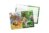Zabawki - Folat BV Safari Invitations 8pcs. - 62010