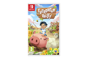 Gry - Everdream Valley - Nintendo Switch - Przygodowy - 5056635607539