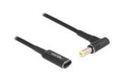 Kable - rózne - DeLOCK - power connector adaptor - USB-C (power only) to DC jack 5.5 x 1.7 mm - 15 m - 60038