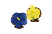Zabawki - Boland Party Cup Coconut - 52374
