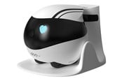 Psy - Enabot EBO Air FamilyBot - WH287302