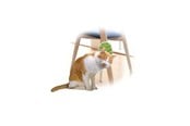 Koty - AFP All For Paws - Groomer 2 In 1 20.3X11X2.2Cm - (781.1025) - 781.1025