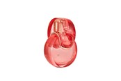 Perfumy i zapachy - Bvlgari Omnia Coral Edt Spray - 783320420672