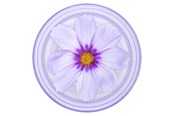 Telefon - Inne akcesoria - PopSockets PopGrip Plant Purple Cosmo - 806846