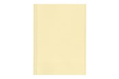 Archiwizacja i przechowywanie - Esselte - file folder - for A4 - yellow (pack of 100) - 44102