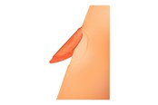 Archiwizacja i przechowywanie - Leitz Clip file  ColorClip Rainbow A4 Orange - 41760045