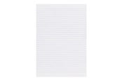 Zeszyty, notesy i formularze - Esselte - protocol book - 96 sheets - A4 - 41902