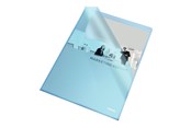 Archiwizacja i przechowywanie - Esselte Folder  105my A4 Bag of 10 Blue - 54825