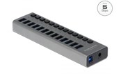USB hub - DeLOCK - hub - 13 ports USB hub - 13 - USB 3.0 - Szary - 63738