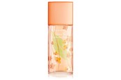 Perfumy i zapachy - Elizabeth Arden Green Tea Nectarine EDT 100 ml - 0085805544829