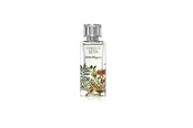 Perfumy i zapachy - Salvatore Ferragamo Foreste Di Seta EDP 100 ml - 8052464891825