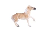 Figurki - Mojo Horse World Brumby Mare - 381059