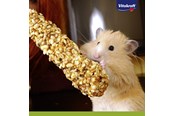 Gryzonie - Vitakraft Hamster Kräcker with Honey and Spelt - 25152