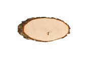 Kreatywne gry - Playwood Make your own Nameplate Tree Bark 28 cm - SL30-33