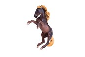 Figurki - Mojo Horse World Brumby Stallion - 381060