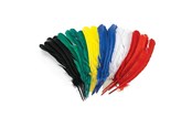 Artykuly Artystyczne & Rzemieslnicze - Colorations - Feathers 30cm Set of 24 - CHLGQUIL