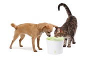 Koty - Catit Design White/Lime Drinking fountain 3L - H55600