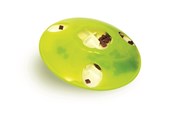 Koty - Catit Play Treat "SPINNER" - H43750