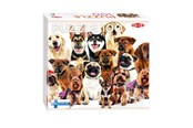 Puzzle - Tactic Group of Cute Dogs 1 pcs puzzle Podłoga - 59233
