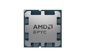 Procesor - AMD EPYC 4244P - Tray Procesor - 6 rdzeni - 3.8 GHz - AMD AM5 - OEM (bez chłodzenia) - 100-000001480