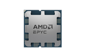 Procesor - AMD EPYC 4124P - Tray Procesor - 4 rdzeni - 3.8 GHz - AMD AM5 - OEM (bez chłodzenia) - 100-000001570