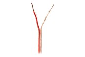 Kabel audio - Nedis bulk speaker cable - 100 m - CABR1500TR1000