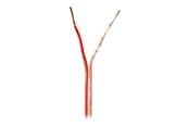 Kabel audio - Nedis bulk speaker cable - 15 m - CABR1500TR150