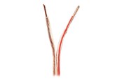 Kabel audio - Nedis bulk speaker cable - 100 m - CABR4000TR1000
