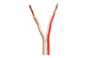 Kabel audio - Nedis bulk speaker cable - 15 m - CAGW4000TR150
