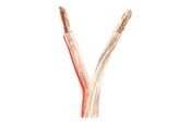 Kabel audio - Nedis bulk speaker cable - 25 m - CAGW6000TR250