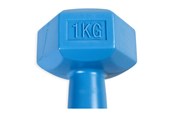 Sport i fitness - ASG Handweight 1 kg vinyl - ASG4301IONE SIZE