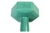Sport i fitness - ASG Handweight 2 kg vinyl - ASG4302IONE SIZE