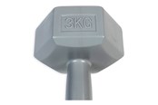 Sport i fitness - ASG Handweight 3 kg vinyl - ASG4303IONE SIZE