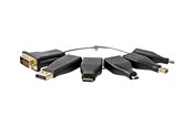 Kabel wyświetlacza - Nedis video / audio adapter kit - DisplayPort / HDMI / DVI / USB - CCGB34999BK