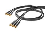 Kabel wyswietlacza - Nedis video / audio cable - composite video / audio - CVTB24300GY20