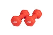Sport i fitness - ASG Handweight Set 2 kg Neoprene - ASG4170IONE SIZE