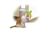 Koty - AFP All For Paws - Groomer Corner 14*12*9Cm - (781.1020) - 781.1020