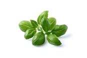 Inteligentny dom - Click & Grow Click and Grow - Smart Garden Refill 3-pack - Basil (SGR3X3) - SGR3X3