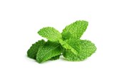 Inteligentny dom - Click & Grow Click and Grow - Smart Garden Refill 3-pack - Peppermint (SGR22X3) - SGR22X3