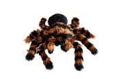 Gadzety - Mikamax Giant Tarantula Plush 70 cm - 05153