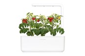 Dekoracje - Click & Grow - Smart Garden 3 Start kit (Color: White) (SGS1UNI) - SGS1UNI