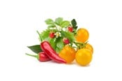 Inteligentny dom - Click & Grow Click and Grow - Smart Garden Refill 9-pack Fruit and Veggie Mix - PPMFVX9